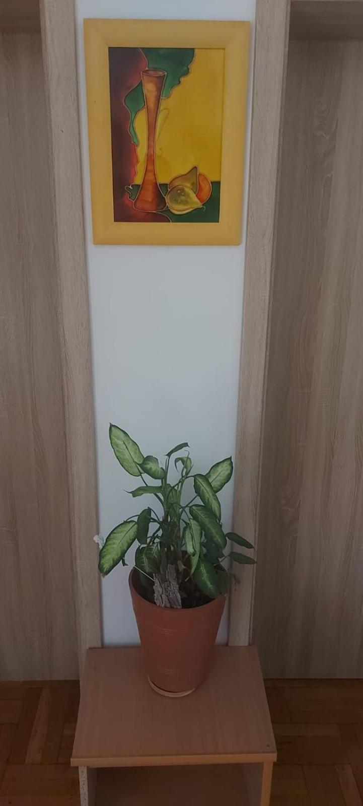 Hostel Poznań Kültér fotó